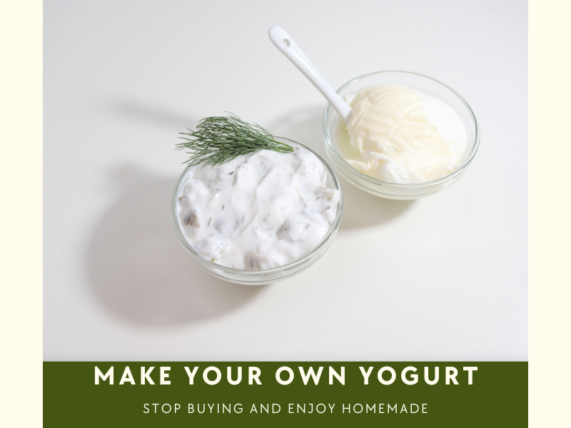 how to make yogurt