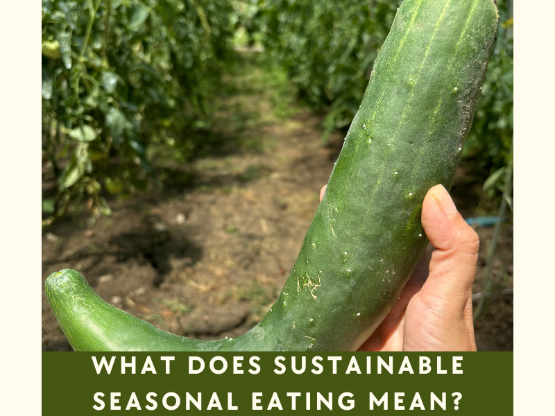 sustainable seasonal eating